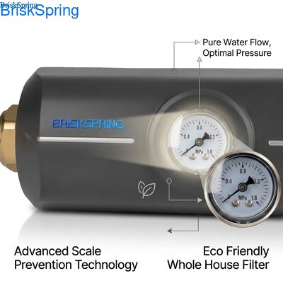 صديقة للبيئة غير سامة ABS الجسم مضاد للتقليص فلتر المياه المنزل بأكمله